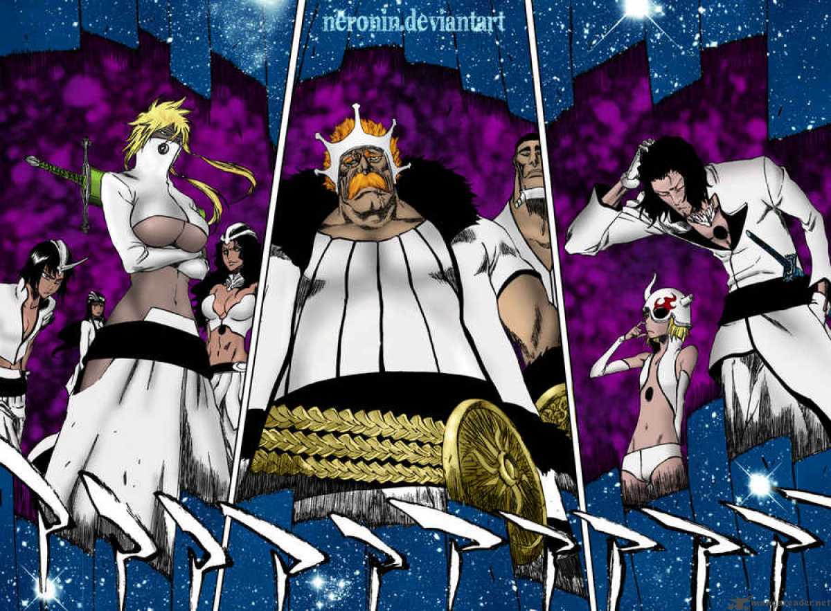 Bleach 316 21