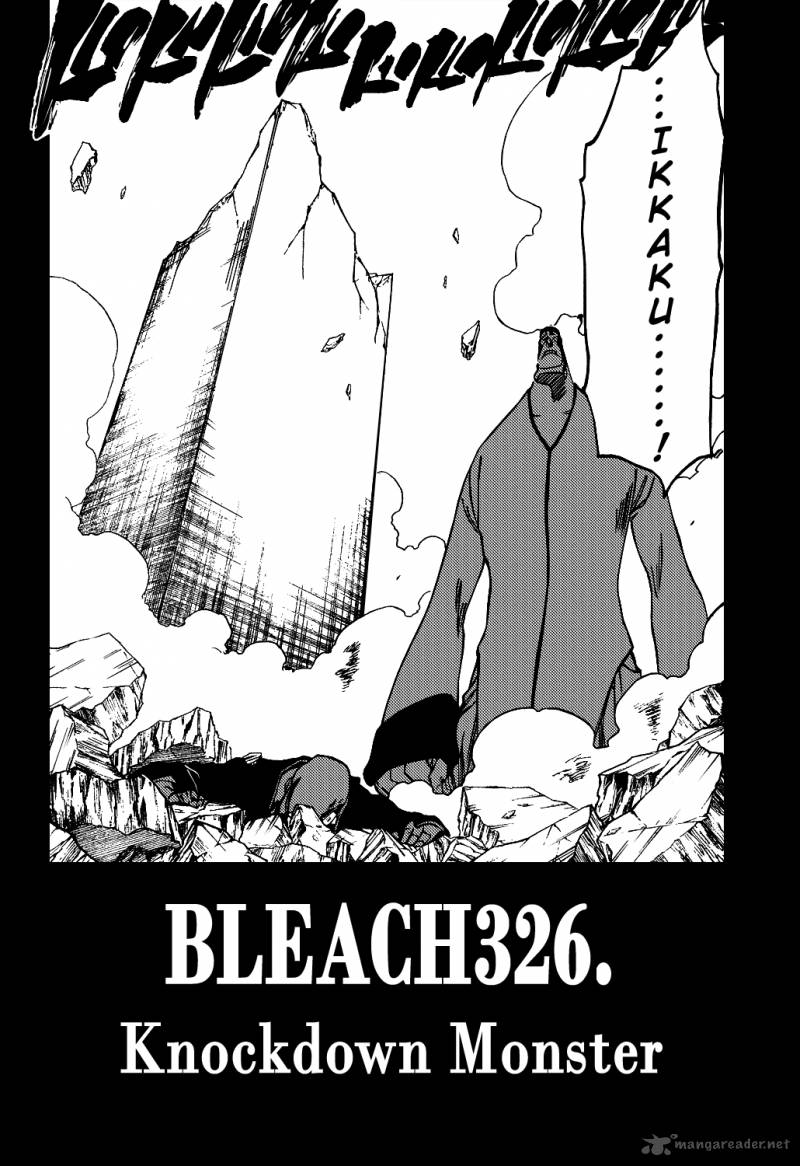 Bleach 326 4