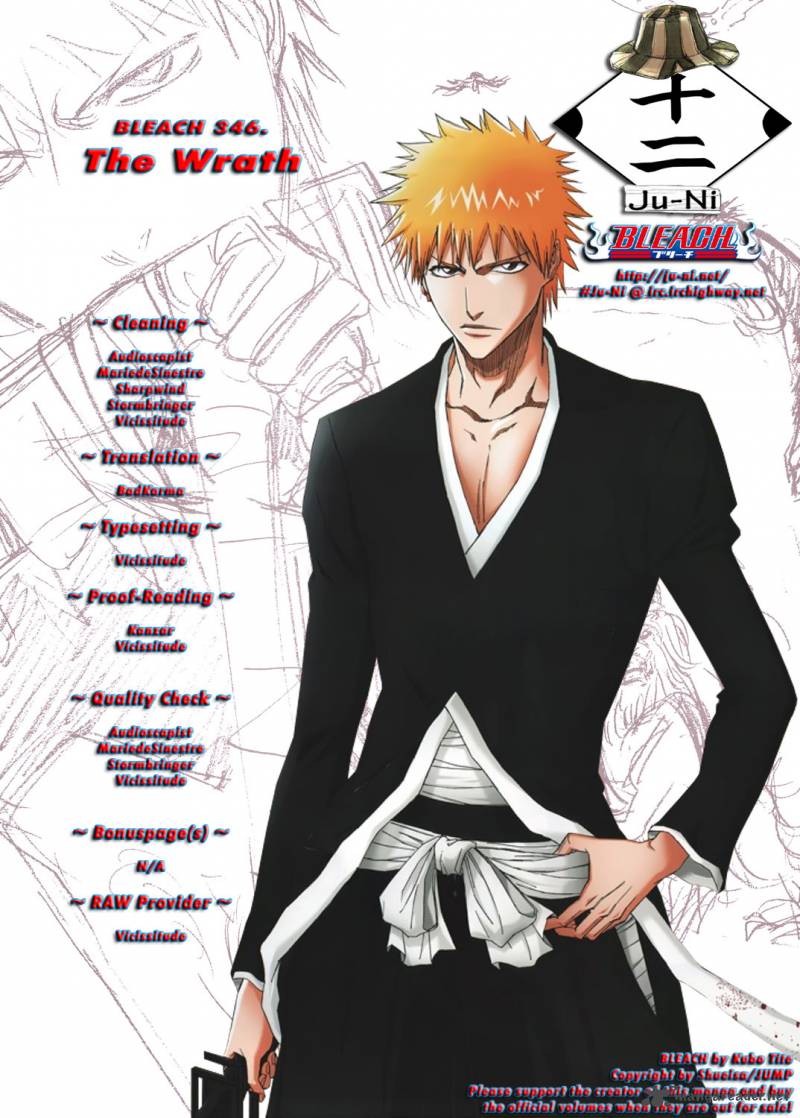 Bleach 346 1