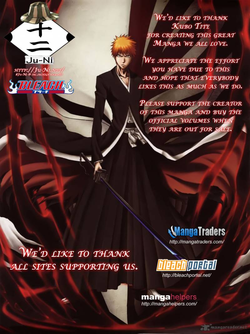 Bleach 346 3