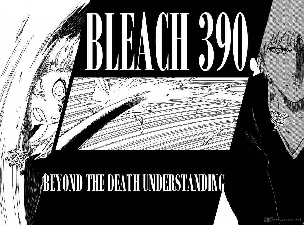Bleach 390 9