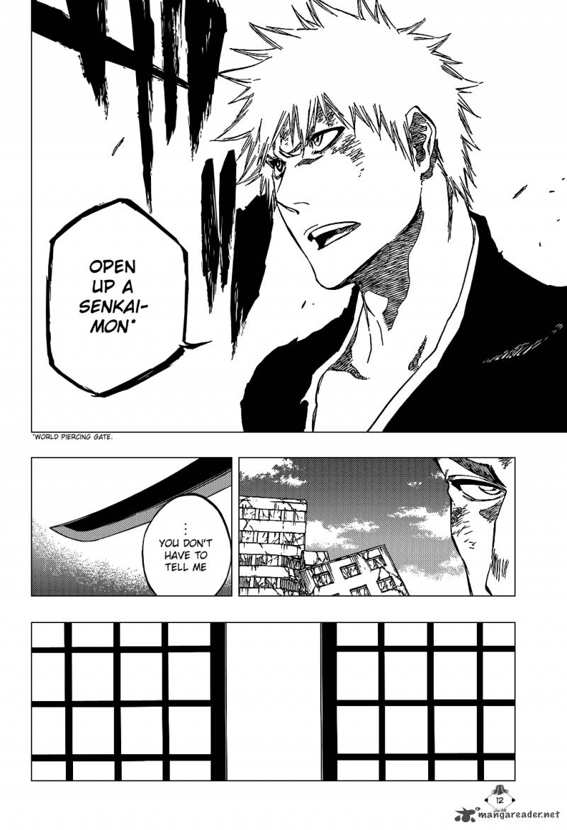 Bleach 407 15