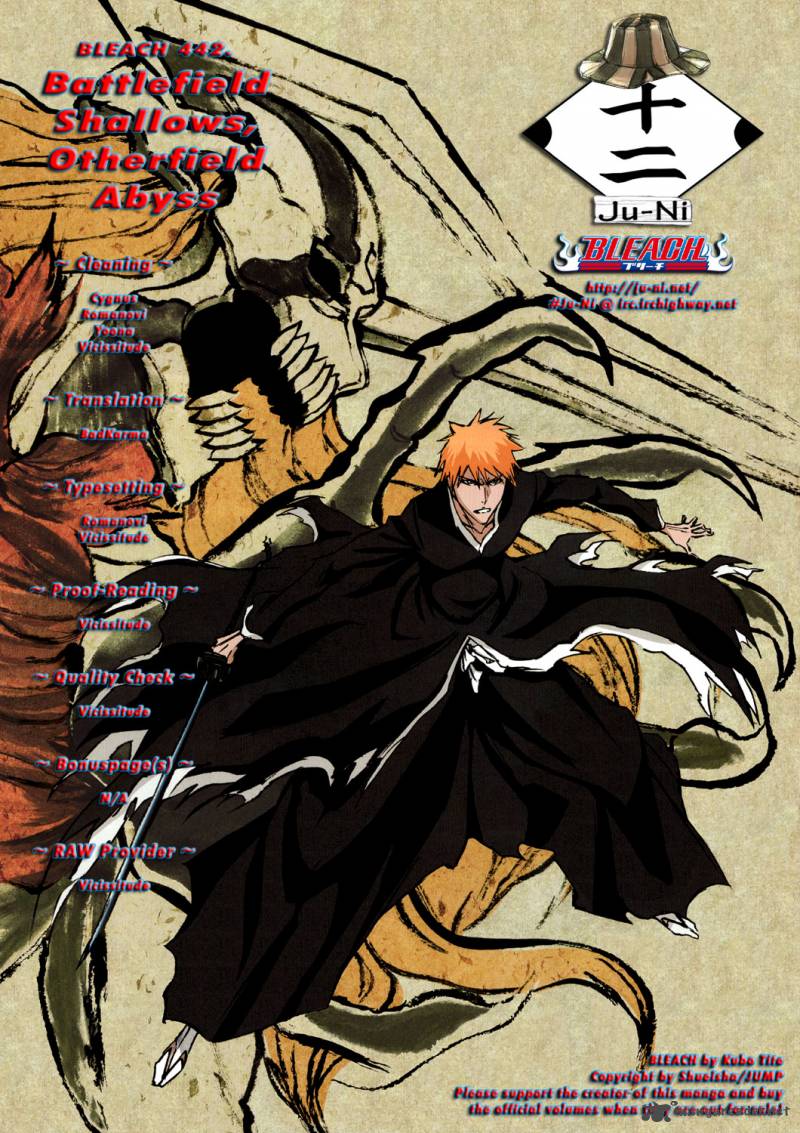 Bleach 442 1