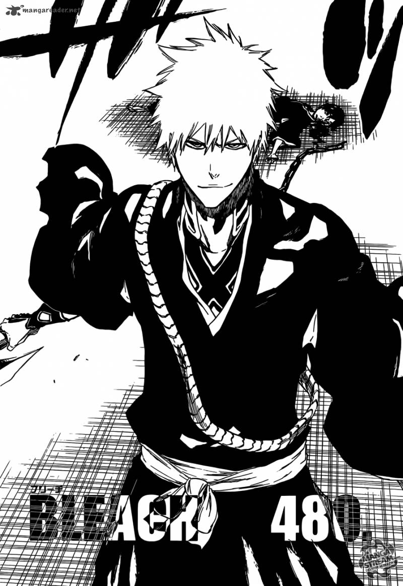 Bleach 480 20