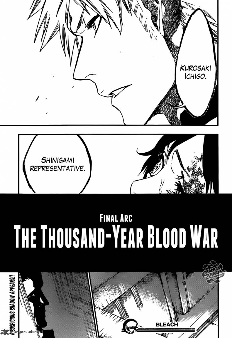 Bleach 480 21