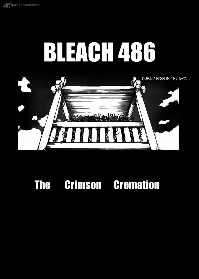 Bleach 486 4