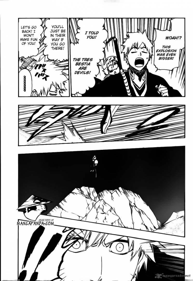 Bleach 488 15