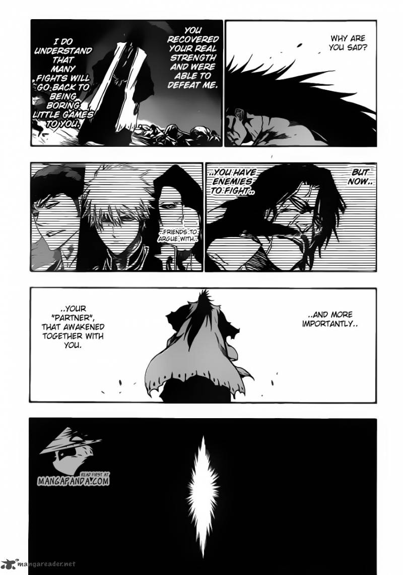 Bleach 527 8