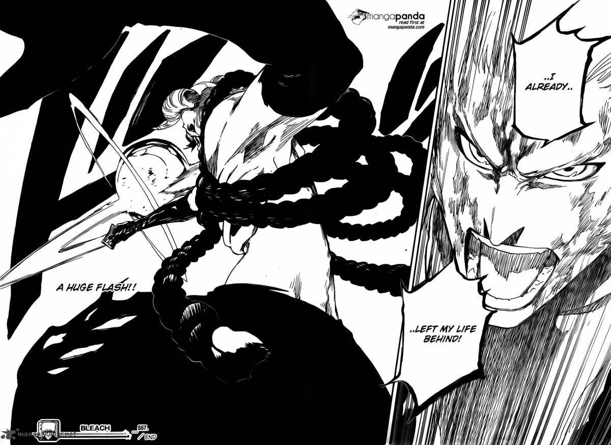 Bleach 557 17