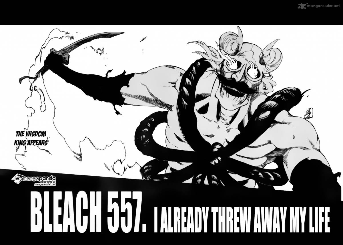 Bleach 557 4