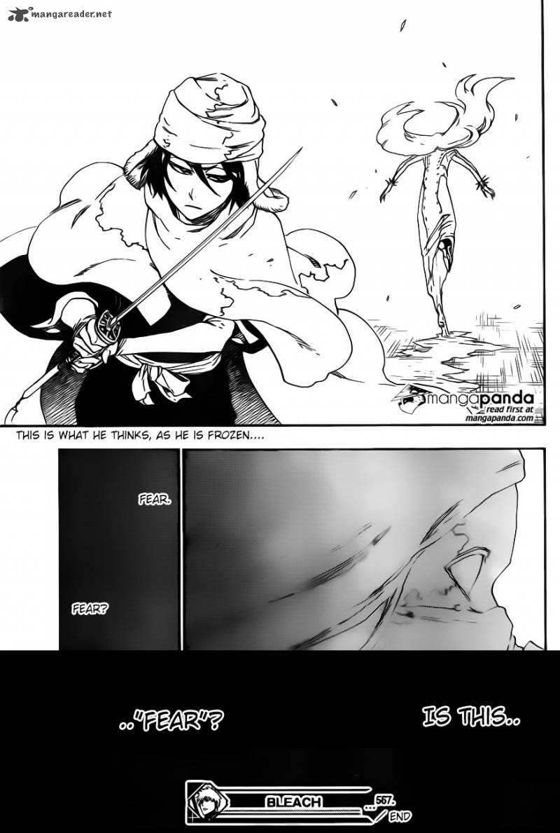 Bleach 567 19