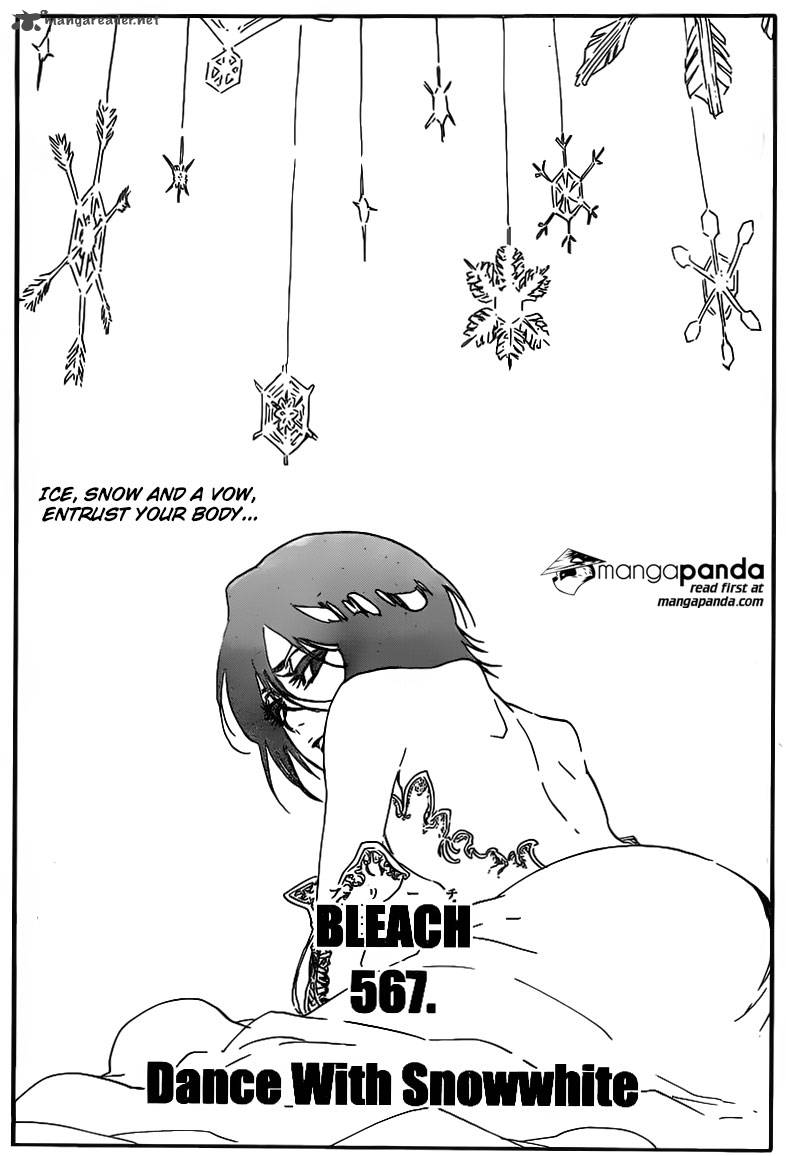 Bleach 567 5