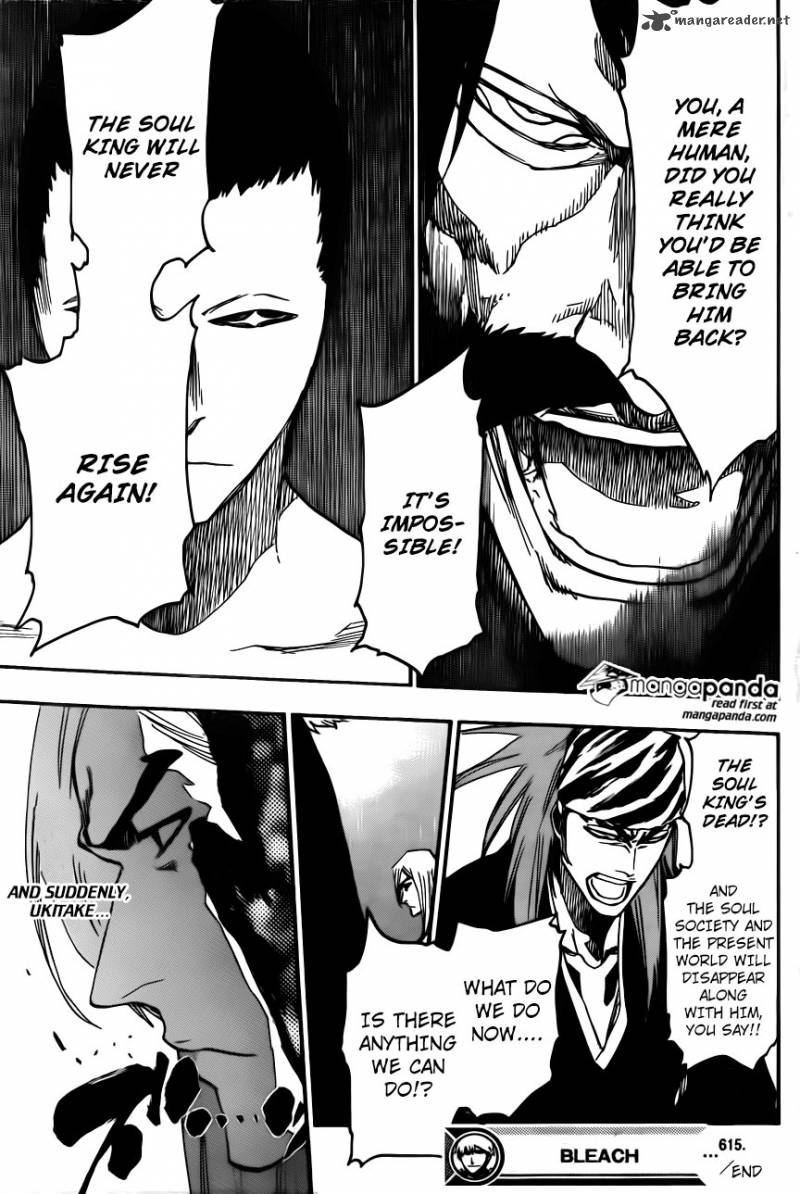 Bleach 615 17