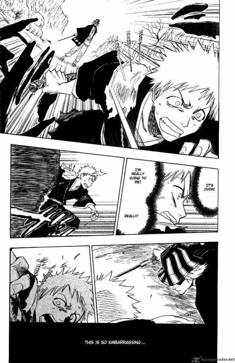 Bleach 66 13