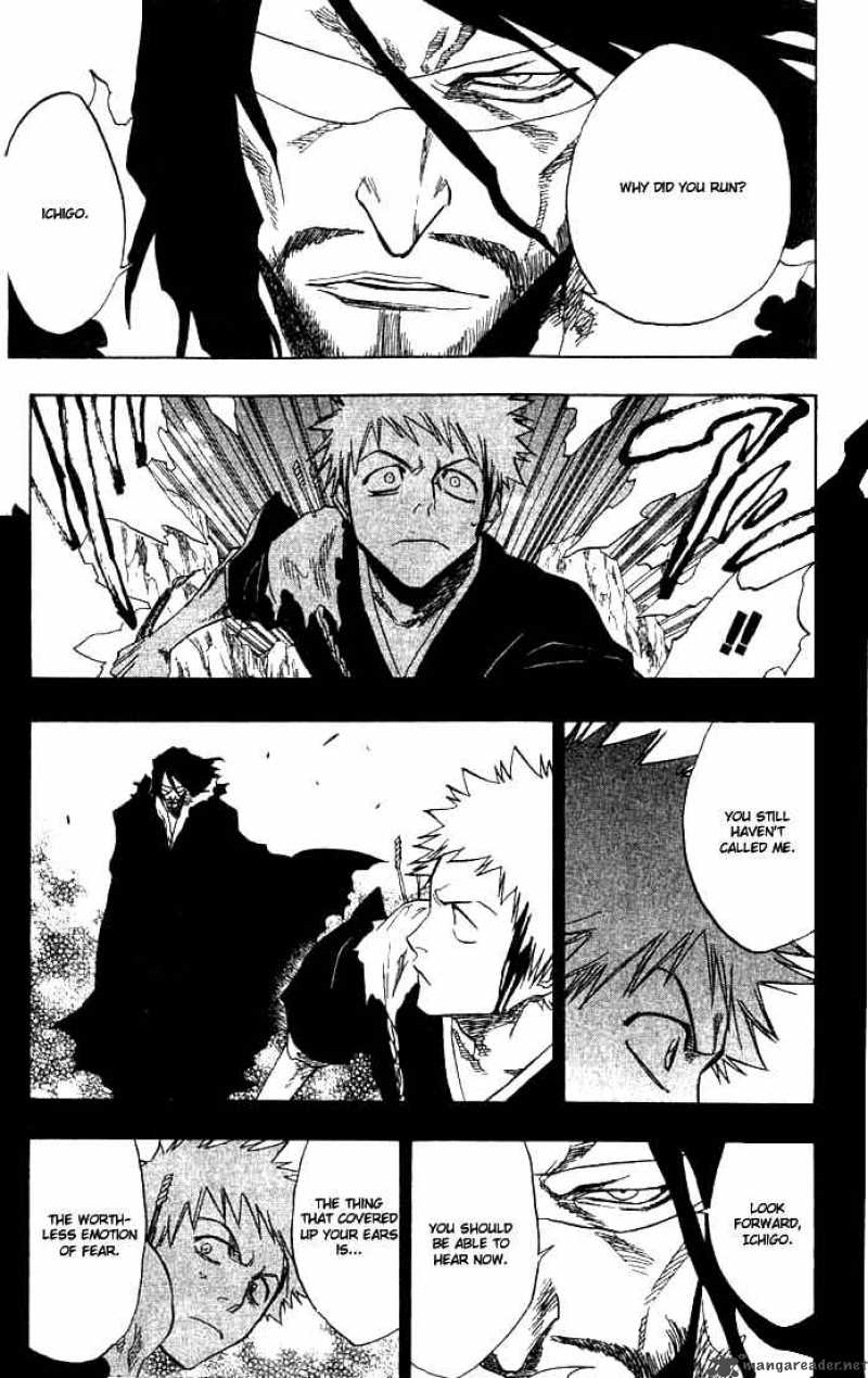 Bleach 66 17