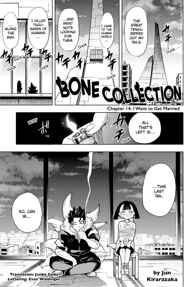 Bone Collection 14 1