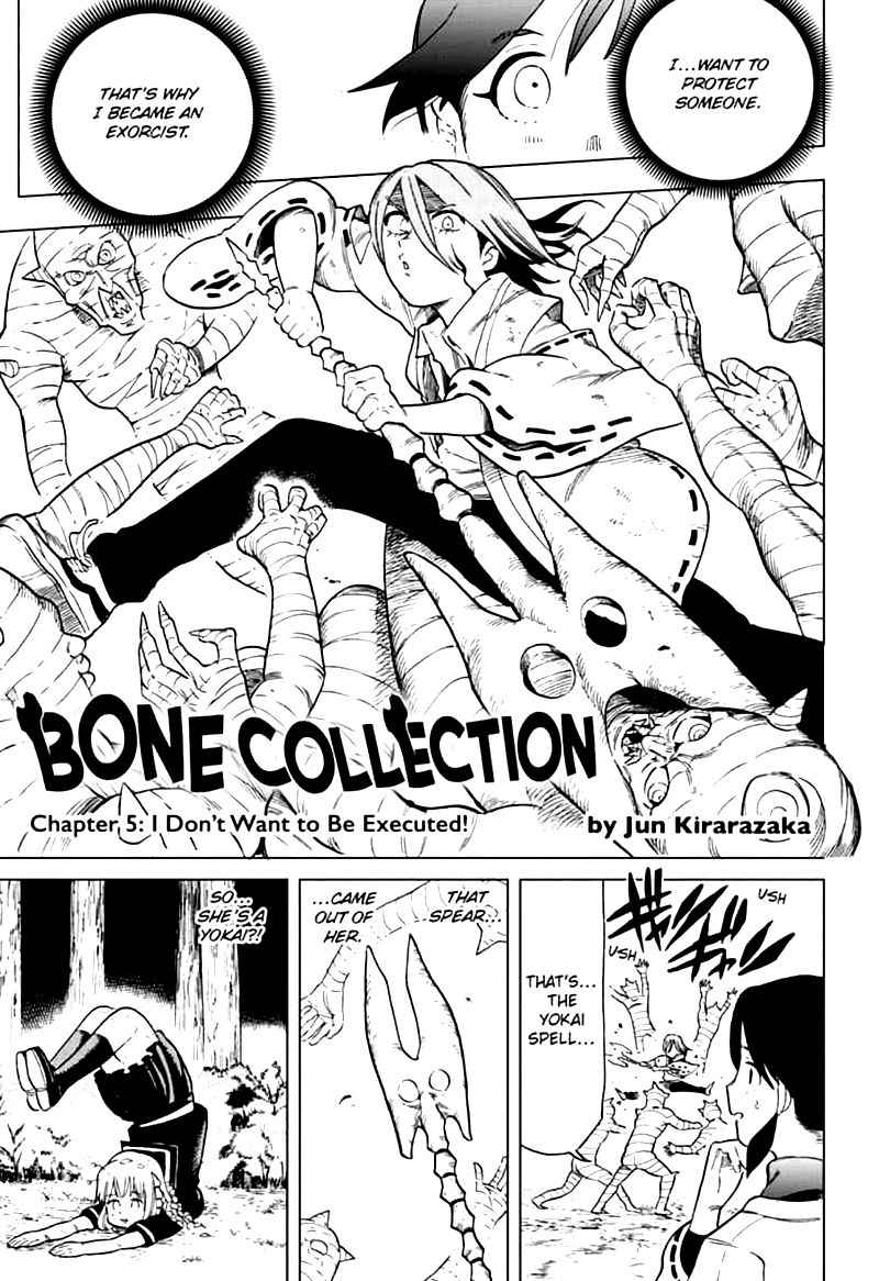 Bone Collection 5 1