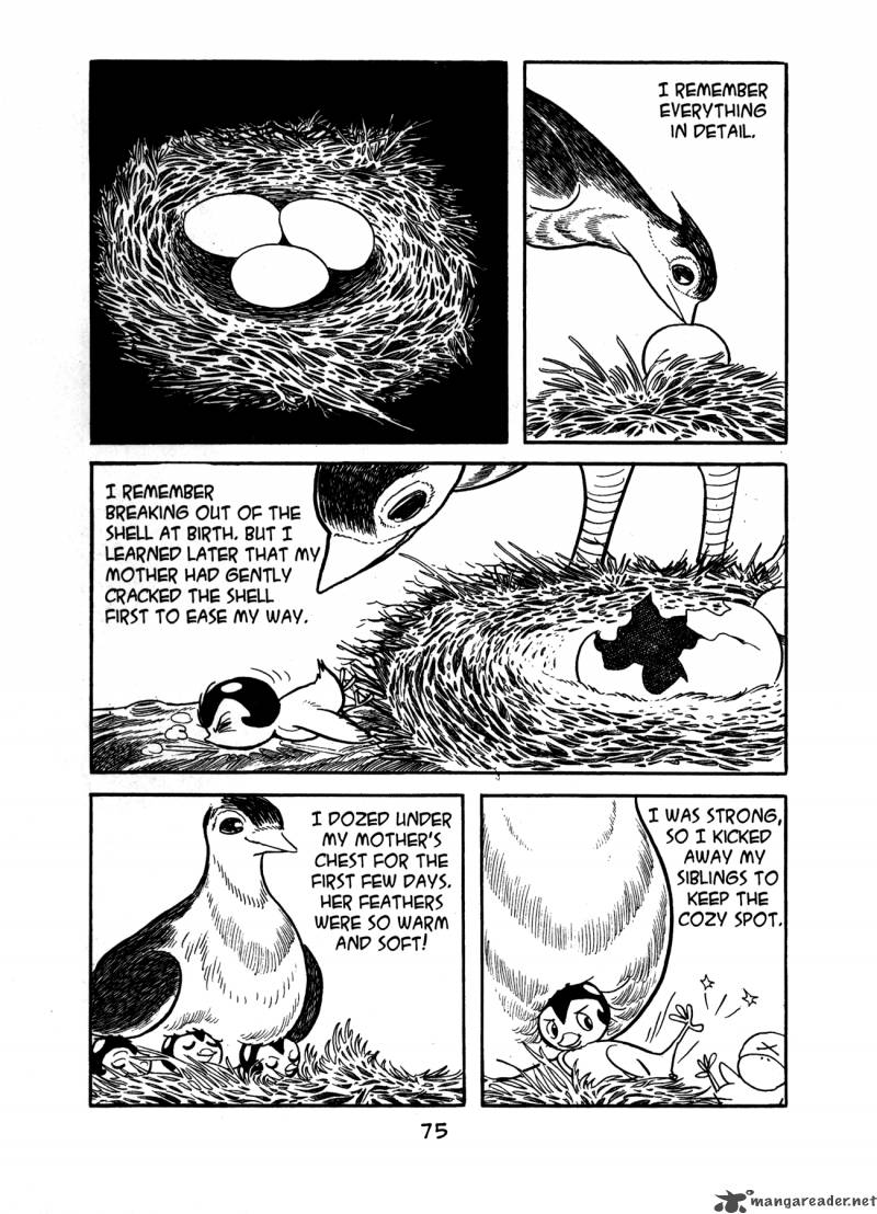 Buddha 2 74