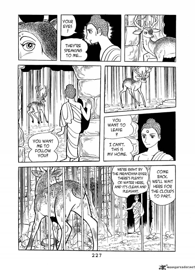Buddha 5 224