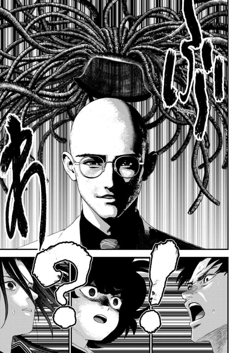 Bug Ego 22 31