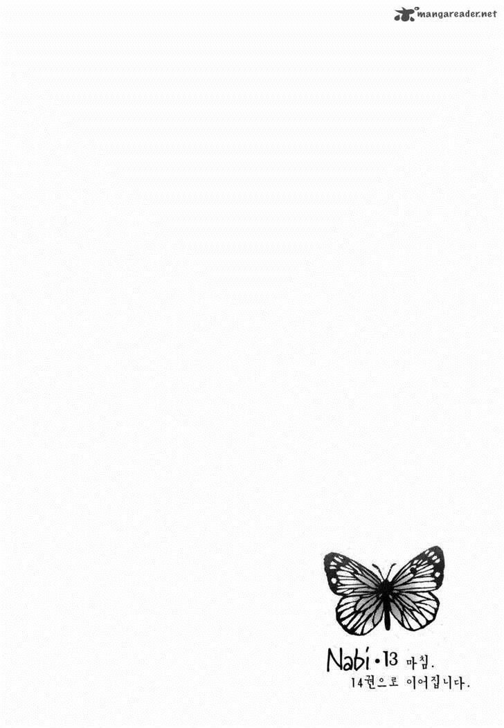 Butterfly 43 37