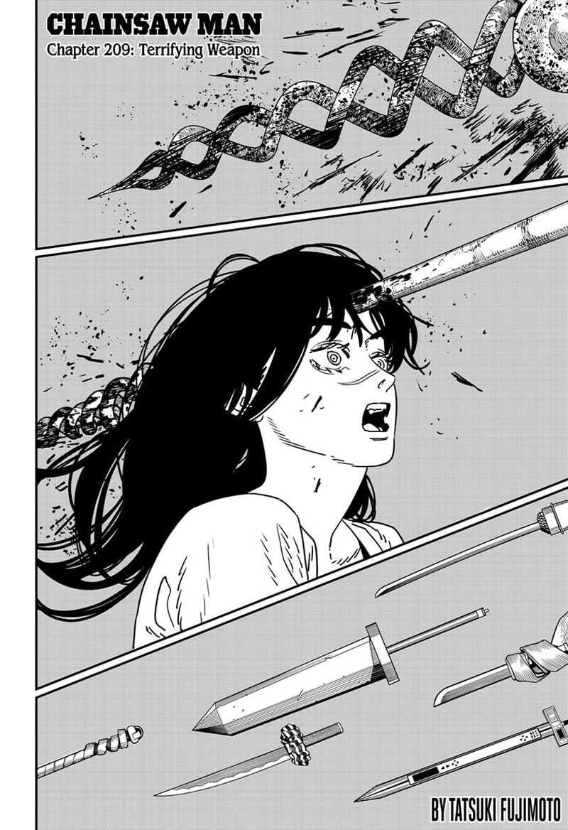 Chainsaw Man 209 1
