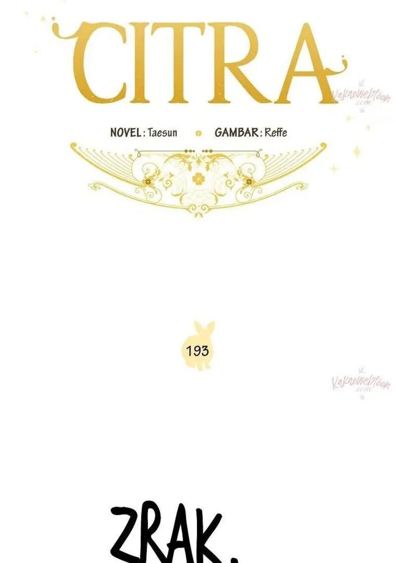 Chitra 193 28