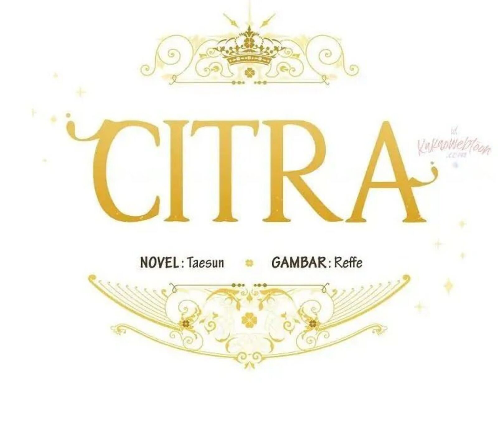 Chitra 193 78