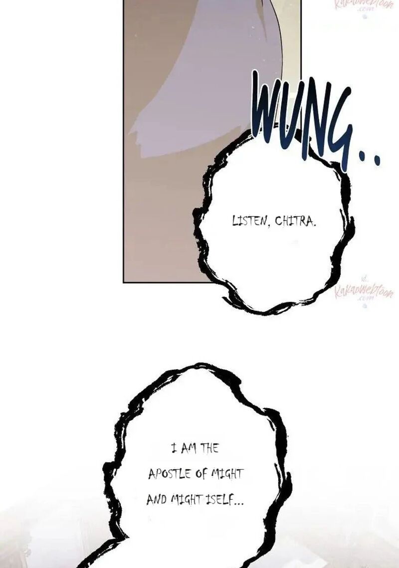 Chitra 195 35