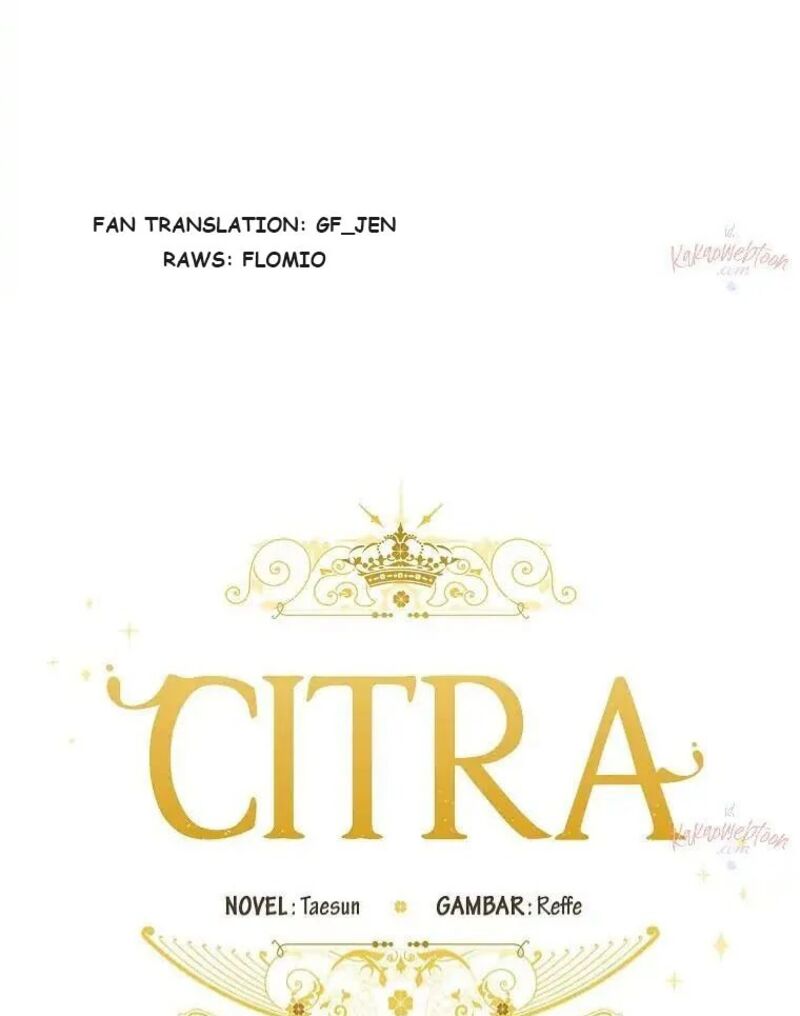 Chitra 195 79