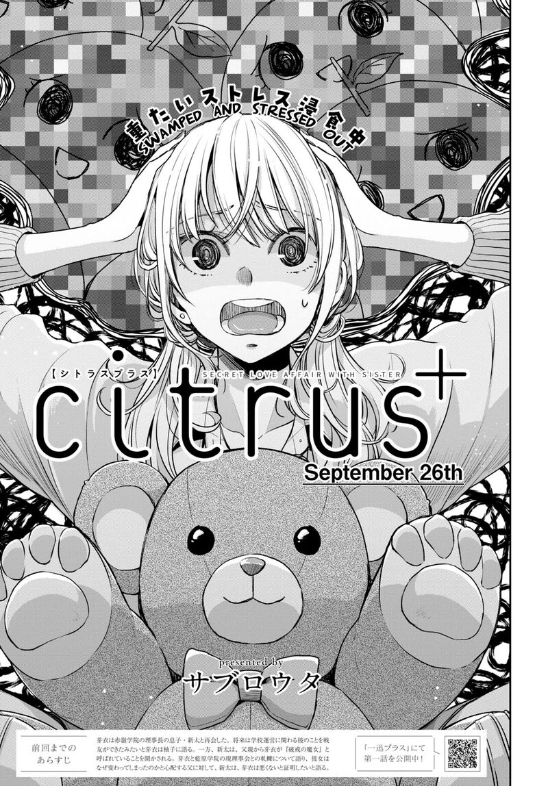 Citrus Plus 33 1