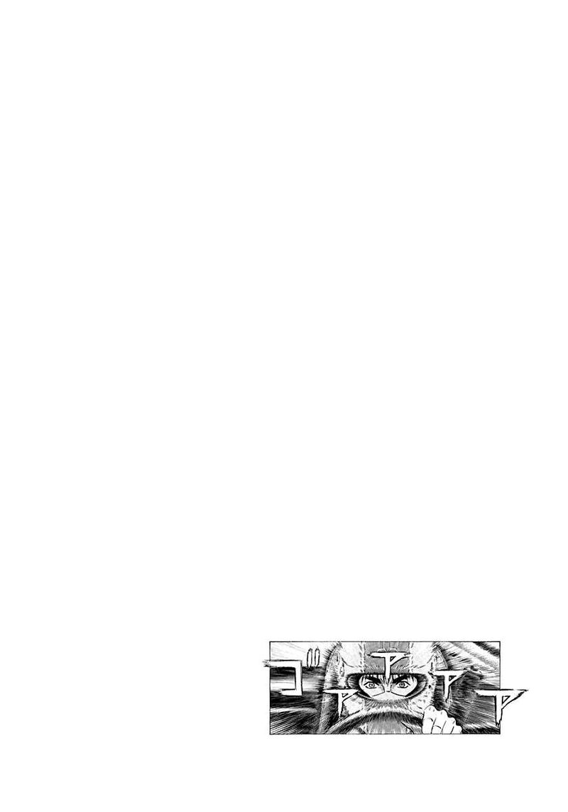 Countach 257 18