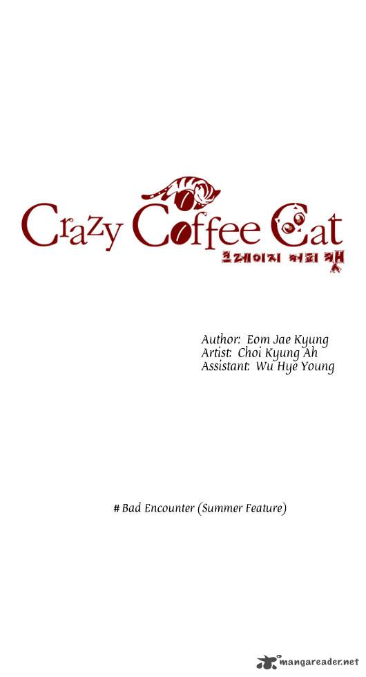 Crazy Coffee Cat 11 2
