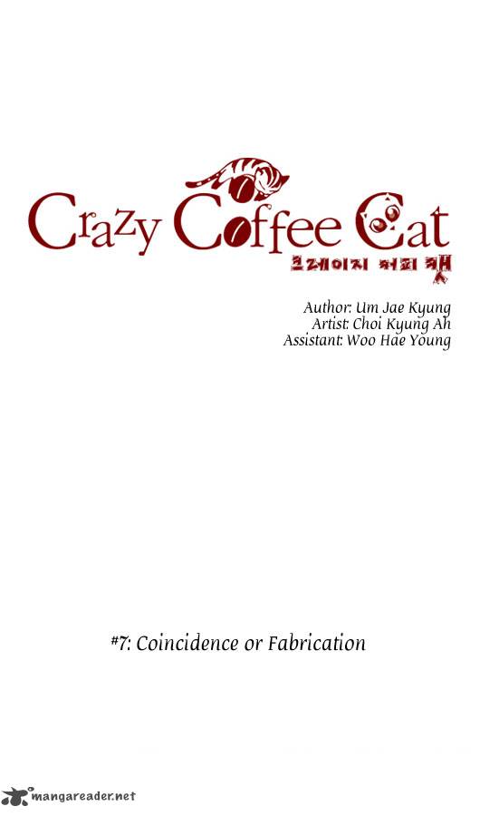 Crazy Coffee Cat 7 3