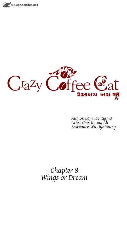 Crazy Coffee Cat 8 3
