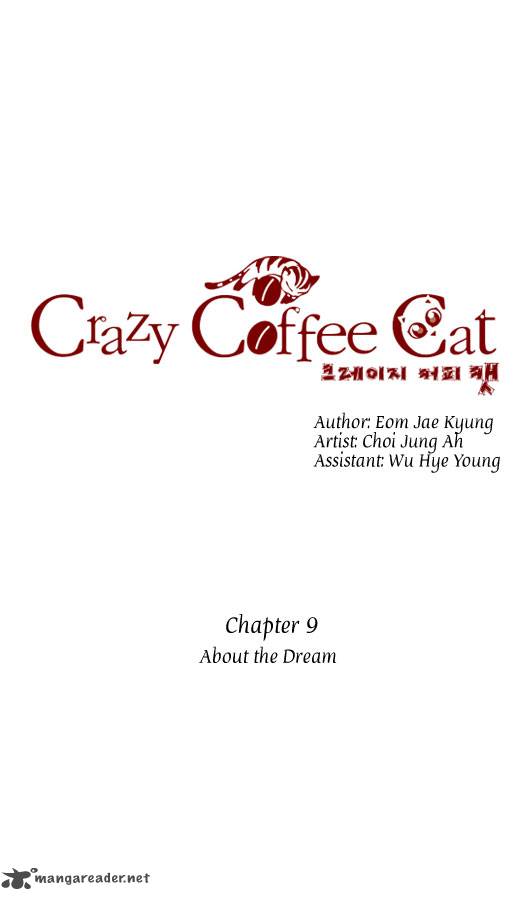 Crazy Coffee Cat 9 2