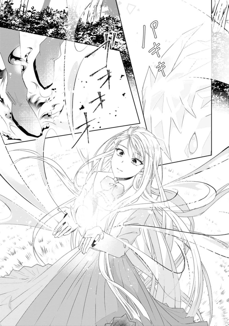 Danzaisareteiru Akuyaku Reijou To Irekawatte Konyakusha Tachi Wo Buttobashitara Dekiai Ga Matte Imashita 12 24