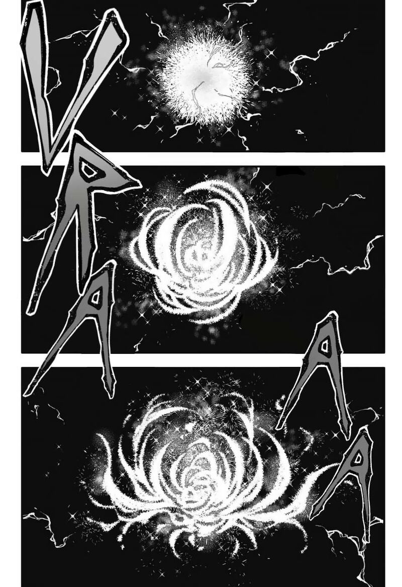 Dgray Man 254 9