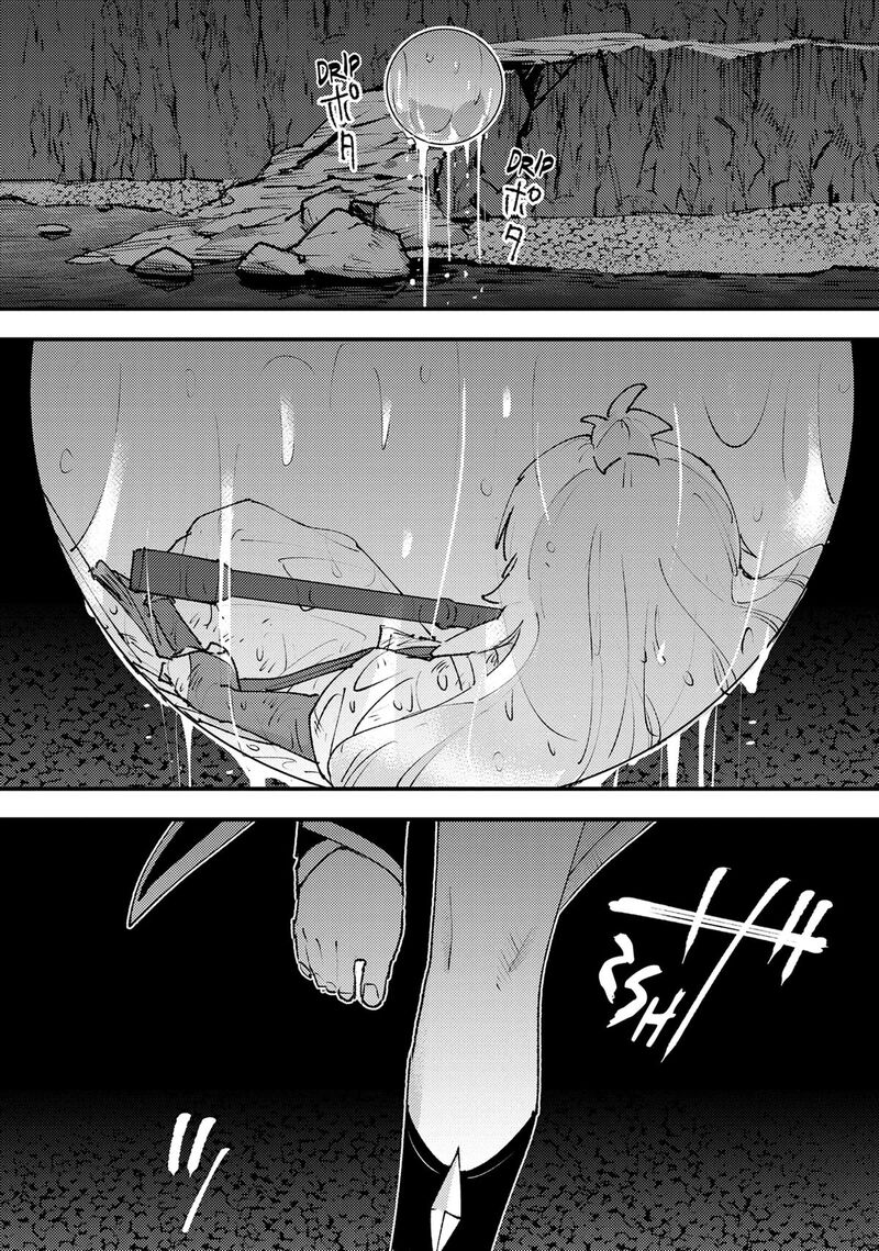 Do You Think Someone Like You Could Defeat The Demon Lord 26 27