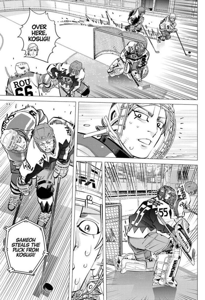 Dogsred 70 3
