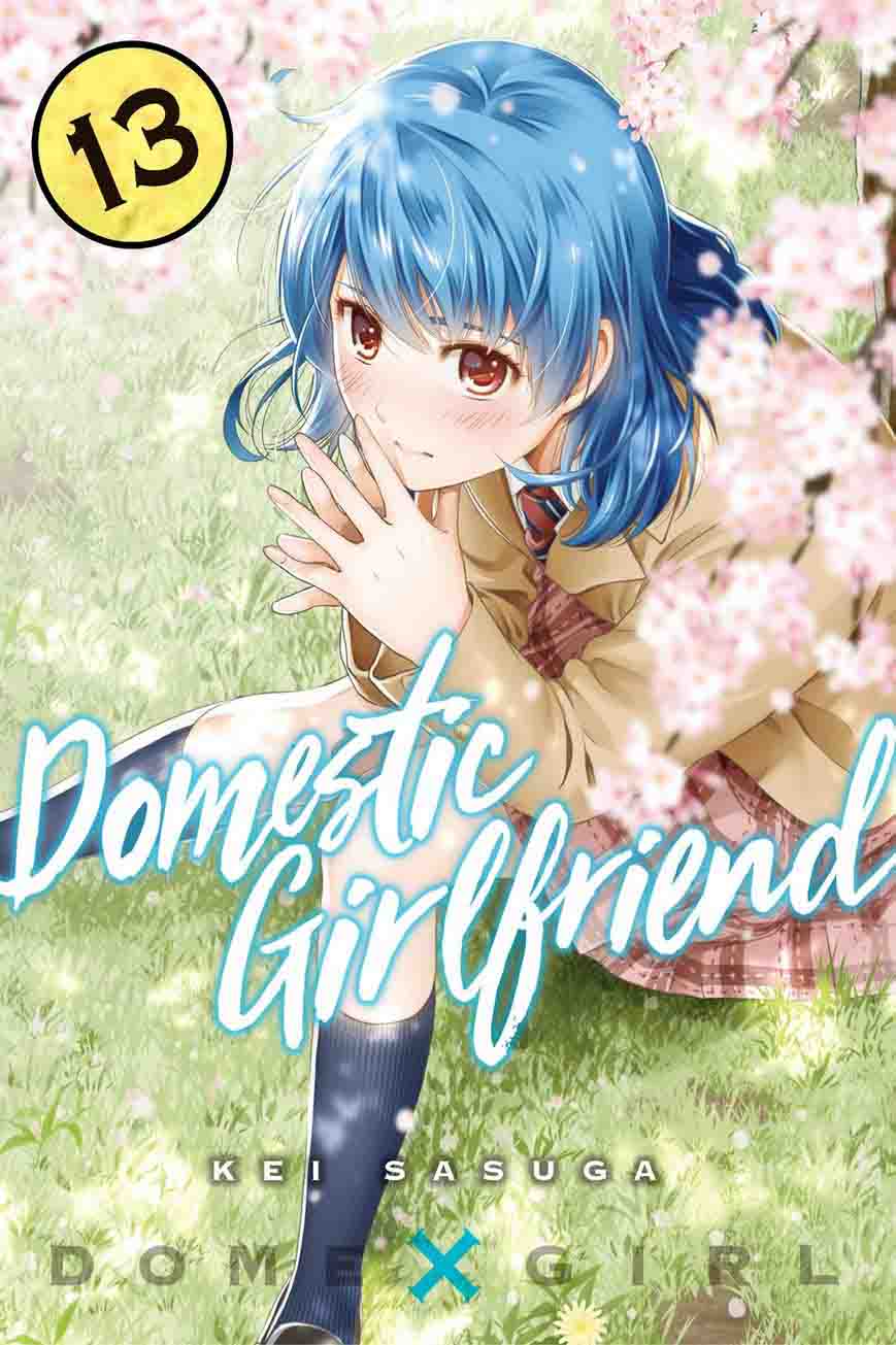 Domestic Na Kanojo 115 1