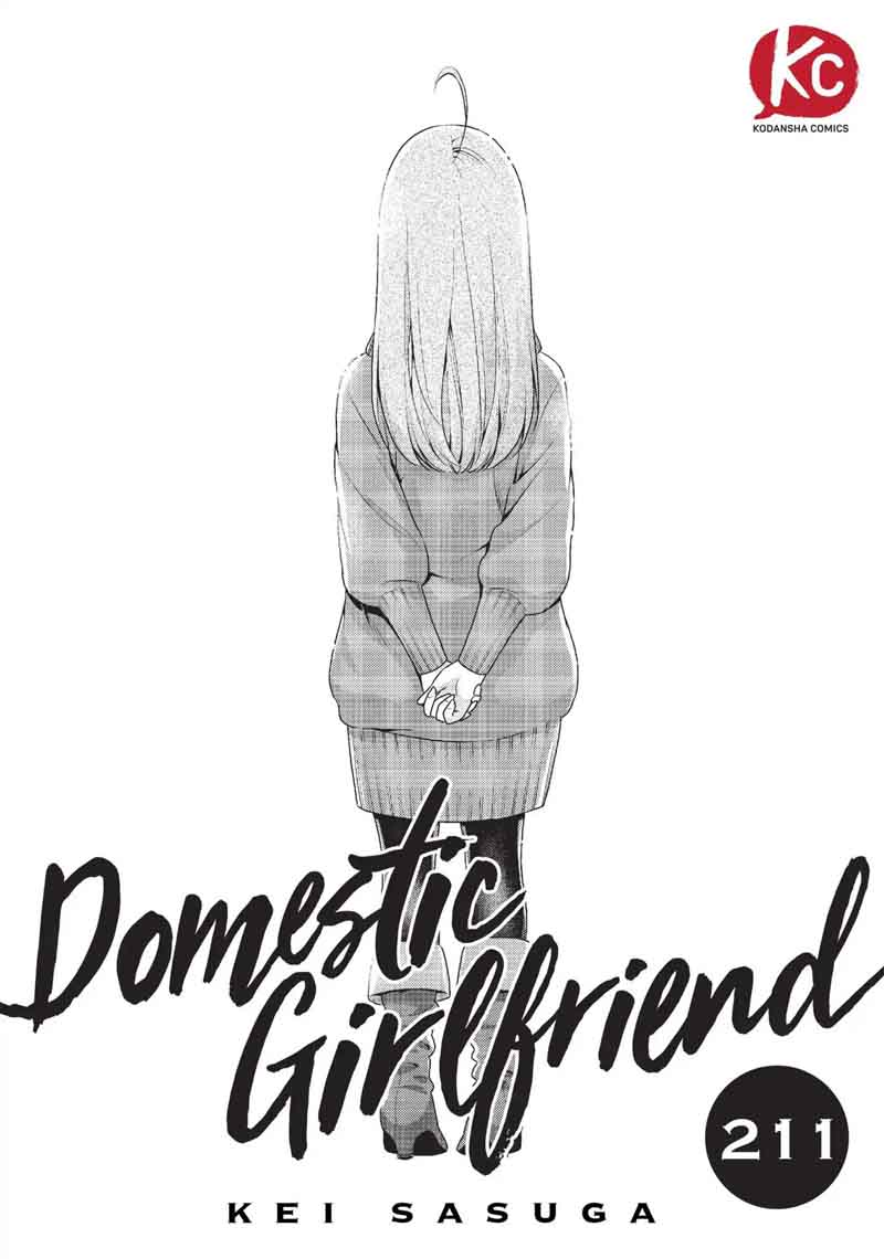 Domestic Na Kanojo 211 1