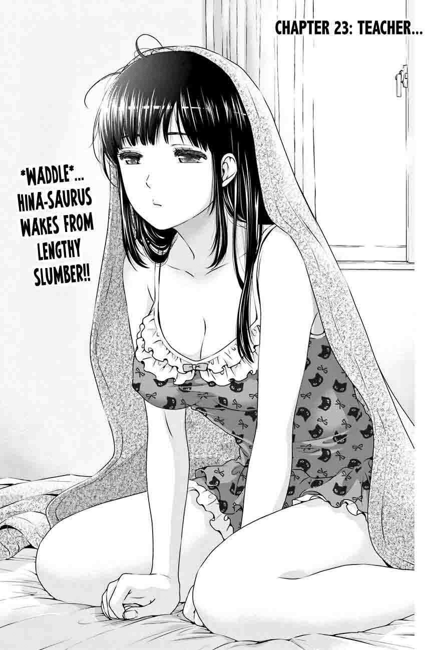 Domestic Na Kanojo 23 1