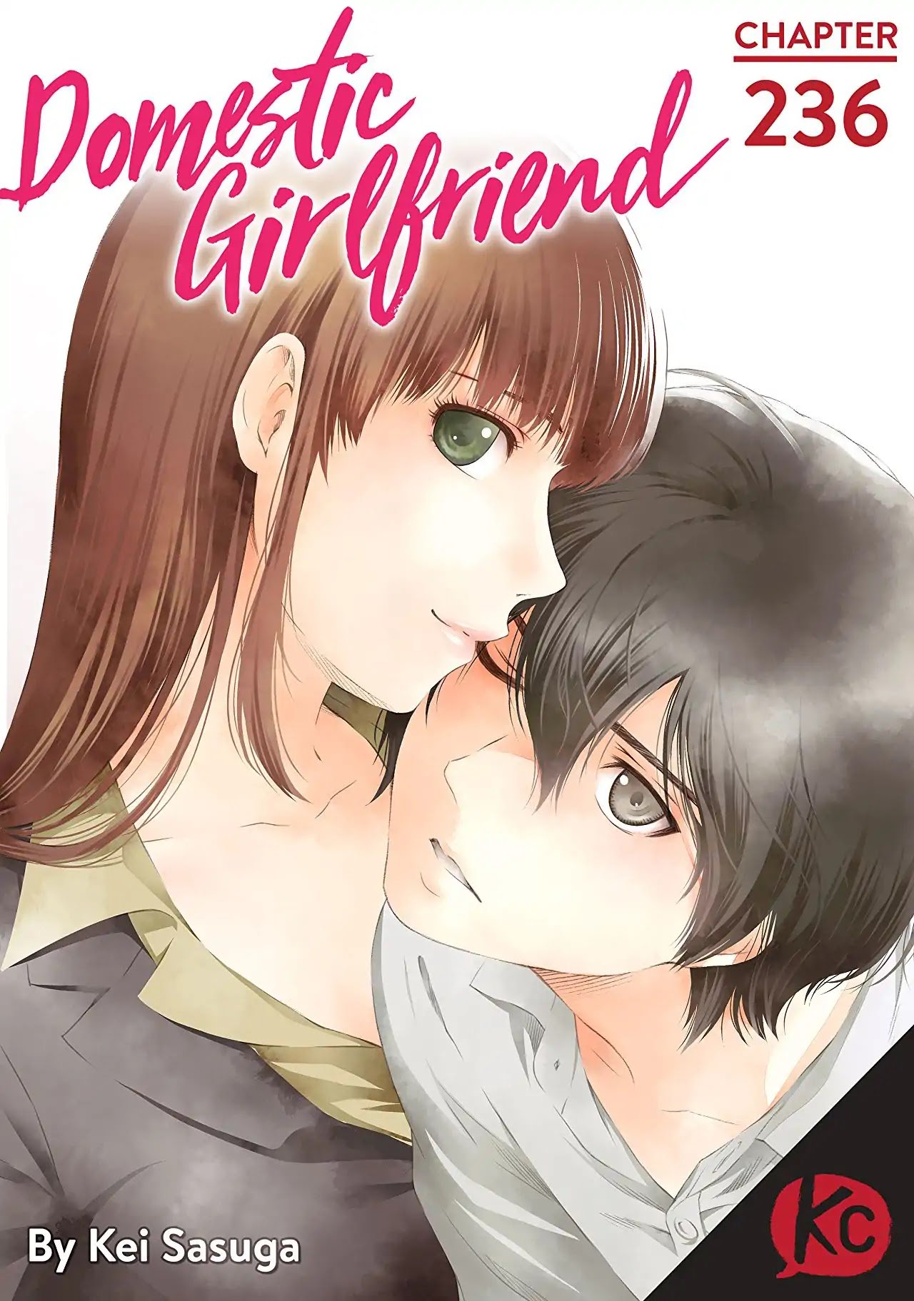 Domestic Na Kanojo 236 1