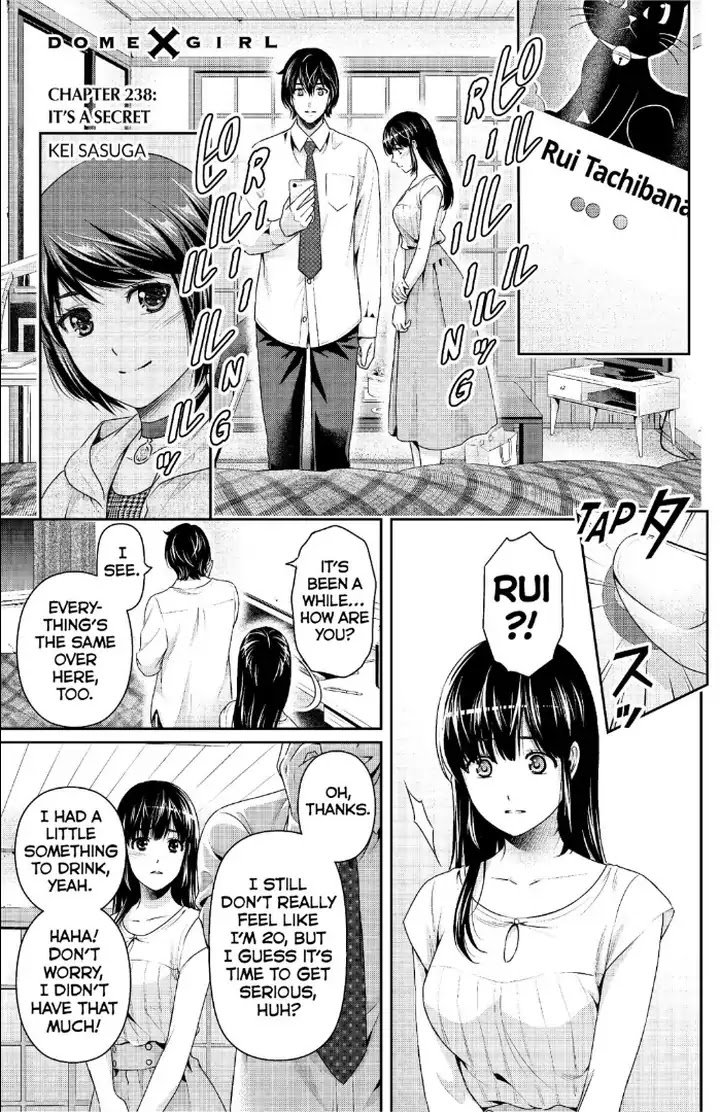 Domestic Na Kanojo 238 2