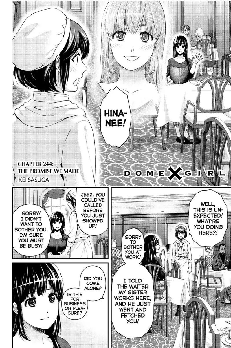 Domestic Na Kanojo 244 2