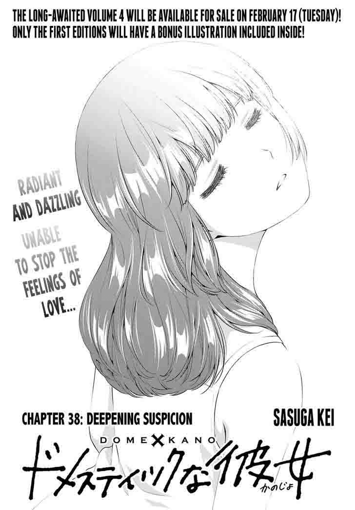 Domestic Na Kanojo 38 1