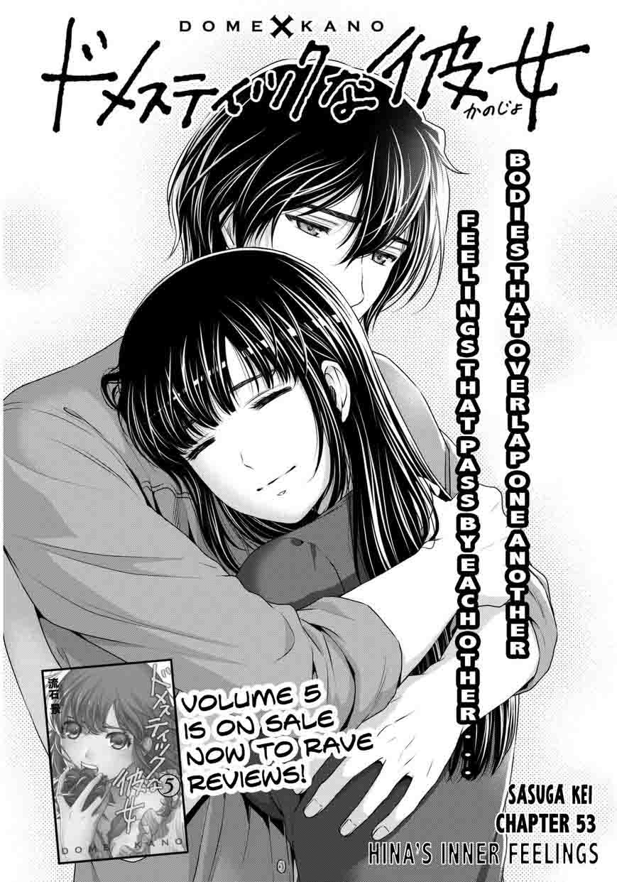 Domestic Na Kanojo 53 2