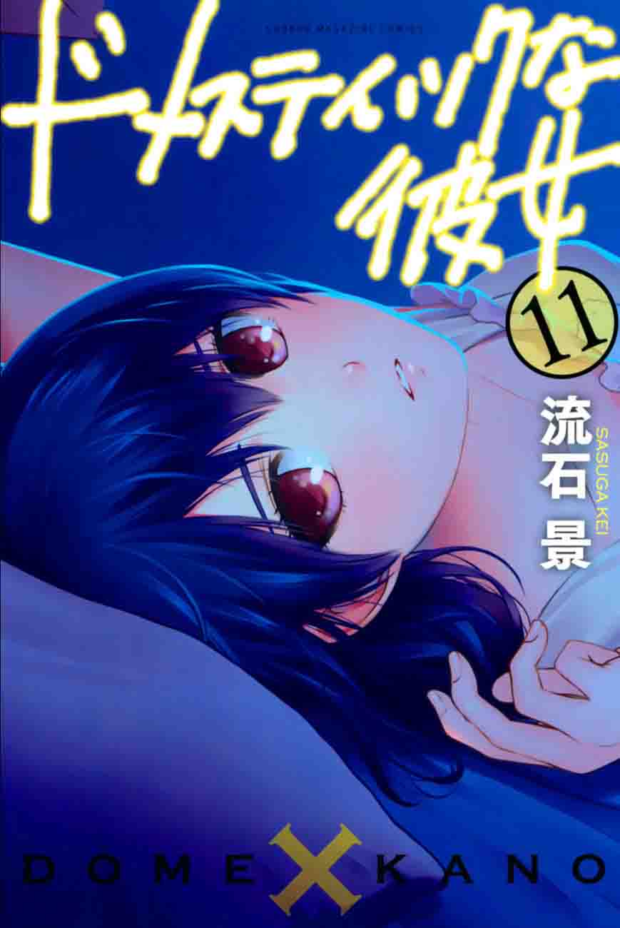 Domestic Na Kanojo 95 3