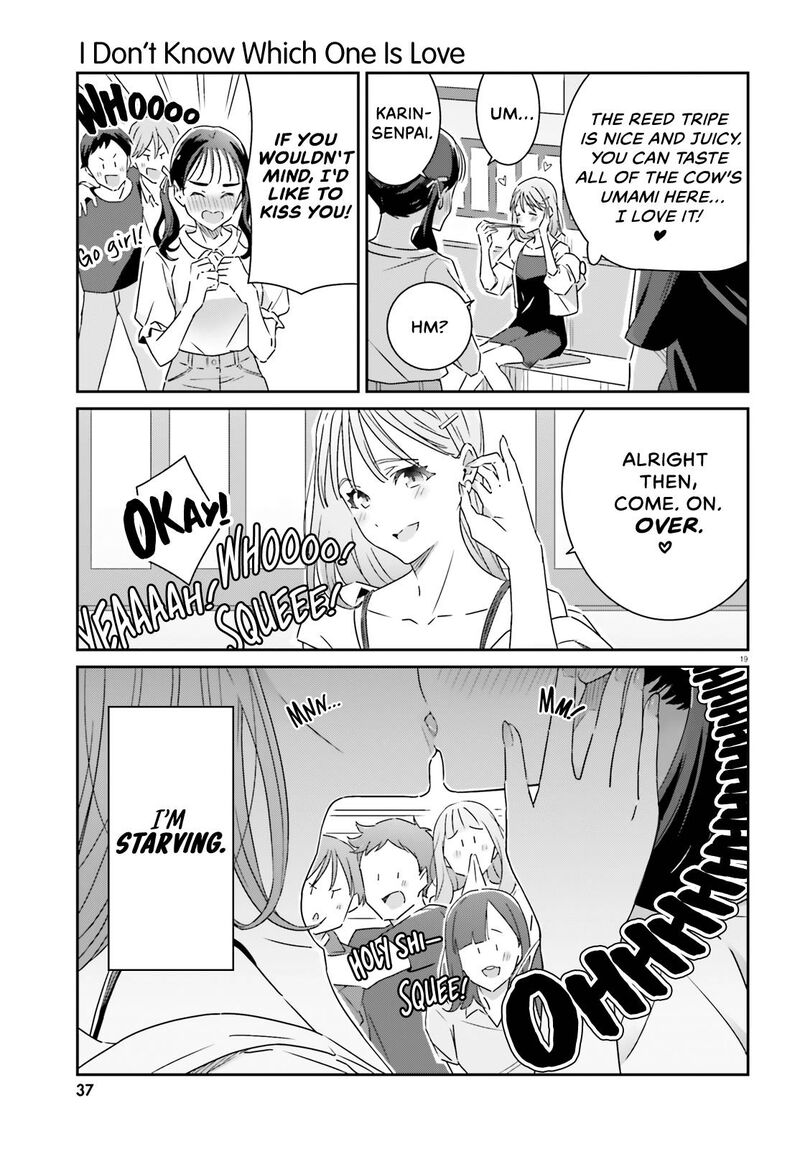 Dore Ga Koi Ka Ga Wakaranai 12 19